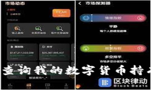 如何查询我的数字货币持有量？