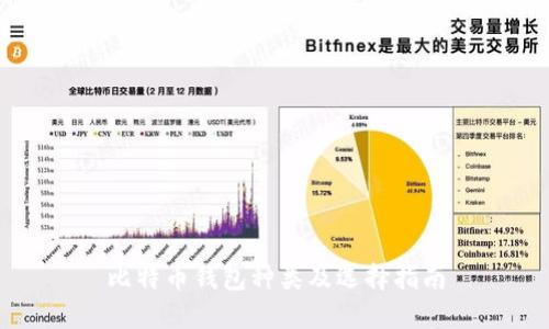 比特币钱包种类及选择指南