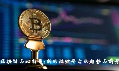 区块链与比特币：新兴理财平台的趋势与前景