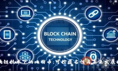 区块链技术下的比特币：可控匿名性与未来发展探讨