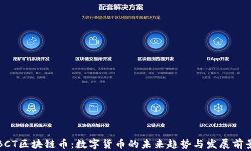 
BCT区块链币：数字货币的未来趋势与发展前景