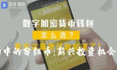 区块链市场中的分红币：新兴投资机会与潜在风