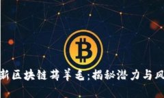 最新区块链薅羊毛：揭秘潜力与风险