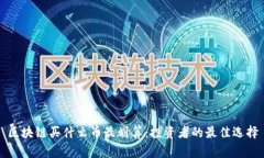 区块链买什么币最划算：投资者的最佳选择