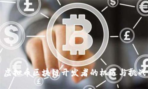 虚拟币区块链开发者的机遇与挑战