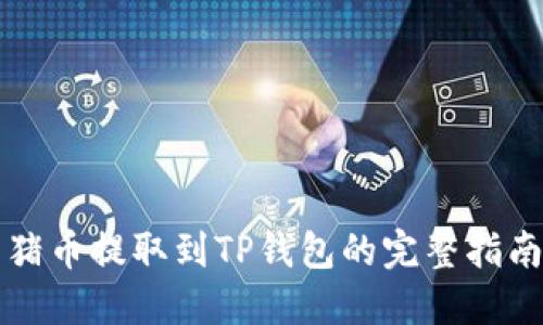 猪币提取到TP钱包的完整指南