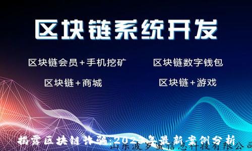   
揭露区块链诈骗：2023年最新案例分析
