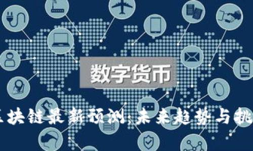 肖风区块链最新预测：未来趋势与挑战分析