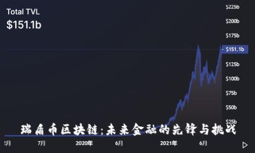 瑞盾币区块链：未来金融的先锋与挑战