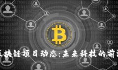 最新区块链项目动态：未来科技的前沿探索