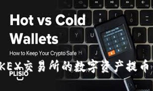 如何将BKEX交易所的数字资产提币至TP钱包