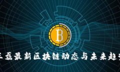 王磊最新区块链动态与未来趋势