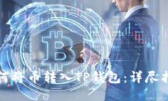 如何将币转入TP钱包：详尽指南