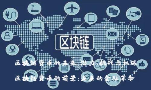 区块链货币的未来：潜力、挑战与机遇

区块链货币的前景：未来的金融革命