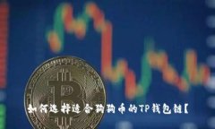 如何选择适合狗狗币的TP钱包链？