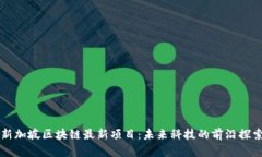 新加坡区块链最新项目：未来科技的前沿探索