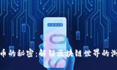 探索山寨币的秘密：解锁区块链世界的浏览器之