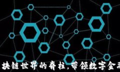 币圈：区块链世界的脊柱，带领数字金融的未来