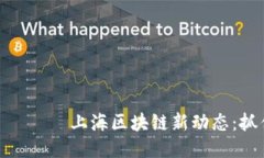 казываемый上海区块链新动态：抓住机遇，迎