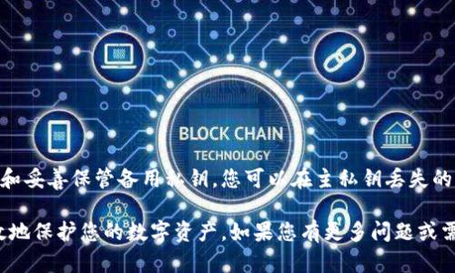 使用TP钱包的备用私钥功能，可以为您提供额外的安全性和便利性。以下是关于如何使用TP钱包的备用私钥功能的详细步骤和说明。

什么是备用私钥？
备用私钥是指在您的主钱包私钥丢失或被盗的情况下，您可以用来恢复和访问您的加密资产的一组备用密钥。这意味着即使您丢失了主私钥，您仍然可以通过备用私钥重新获得对钱包的所有权和控制权。

为何需要备用私钥功能？
在区块链和加密货币的世界中，私钥是您进行交易和控制资产的唯一凭证。如果主私钥被盗或丢失，您的资金可能会永久失去。而备用私钥提供了一种保护机制，确保您在意外情况下仍然可以访问和管理资产，降低了风险。

如何生成备用私钥？
要使用TP钱包的备用私钥功能，您首先需要在钱包中生成一个备用私钥。通常，这个过程可以在钱包的设置或安全选项中找到。以下是简要步骤：
ol
li打开TP钱包应用程序，并输入您的密码以解锁钱包。/li
li在主页上，找到“设置”选项，点击进入。/li
li在设置中，寻找“安全”或“私钥管理”部分。/li
li选择“生成备用私钥”选项，系统会生成一组新的备用私钥。/li
li务必将这个备用私钥妥善保存，建议打印出来或存在安全的地方，避免数字泄露。/li
/ol

如何使用备用私钥恢复钱包？
如果您需要使用备用私钥来恢复钱包，以下是相关步骤：
ol
li打开TP钱包应用程序，选择“恢复钱包”的选项。/li
li输入您的备用私钥，确保输入正确无误。/li
li系统会根据备用私钥加载相关的账户信息和资产。/li
li当恢复成功后，您将能够重新访问您的数字资产，并继续进行交易。/li
/ol

如何保护您的备用私钥？
由于备用私钥同样是访问您资金的重要凭证，妥善保护它至关重要。以下是一些建议：
ul
li避免将备用私钥存储在联网的设备上，如手机或电脑。/li
li可以考虑将其写在纸上，并存放在安全的地方，如保险箱。/li
li定期检查和更新密码、增强安全措施，防范网络攻击。/li
li只在可信的位置输入备用私钥，确保防止钓鱼网站和恶意软件。/li
/ul

总结
TP钱包的备用私钥功能为您提供了一个可靠的方法来保护和管理您的加密货币资产。通过生成和妥善保管备用私钥，您可以在主私钥丢失的情况下轻松恢复钱包。因此，理解并合理利用这个功能，将为您的数字资产提供一层额外的保护。

以上是如何使用TP钱包的备用私钥功能的详细说明，确保按照步骤操作并重视安全性，将能有效地保护您的数字资产。如果您有更多问题或需要进一步的帮助，请查阅TP钱包的官方文档或联系客服获取支持。