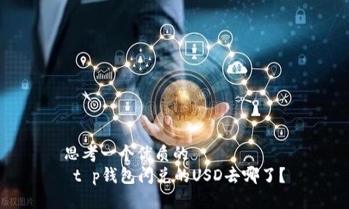 思考一个优质的  
 t p钱包闪兑的USD去哪了？