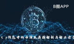  t p钱包中的币消失原因解析与解决方案