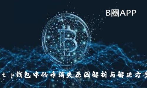  t p钱包中的币消失原因解析与解决方案