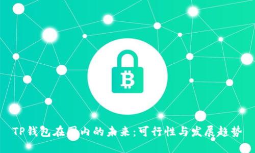 TP钱包在国内的未来：可行性与发展趋势