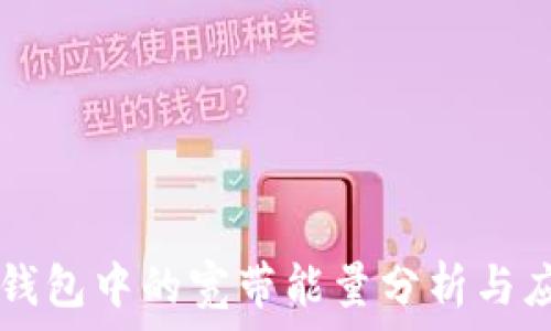   
tP钱包中的宽带能量分析与应用