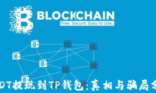 
USDT提现到TP钱包：真相与骗局分析