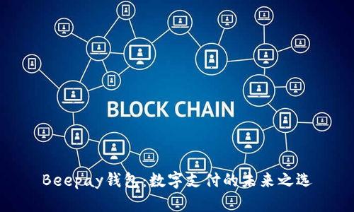 Beepay钱包：数字支付的未来之选