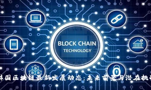 韩国区块链最新发展动态：未来前景与潜在挑战